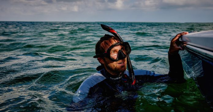What’s Killing Endangered Sawfish in Florida?
