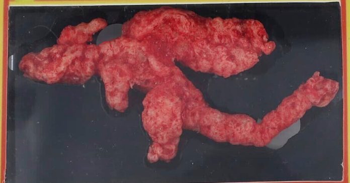 A Cheeto Shaped Like the Pokemon Charizard Sells for Nearly A Cheeto Shaped Like the Pokemon Charizard Sells for Nearly $90,000