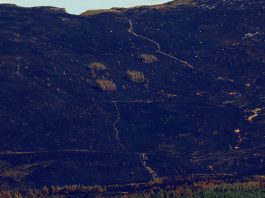 As Wildfires Plague Europe, Scotland Races to Save a Cherished National Park