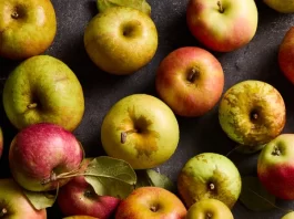 The Next ‘It’ Apple Might Be 300 Years Old An overhead image of a number of heritage apples on a dark gray surface.